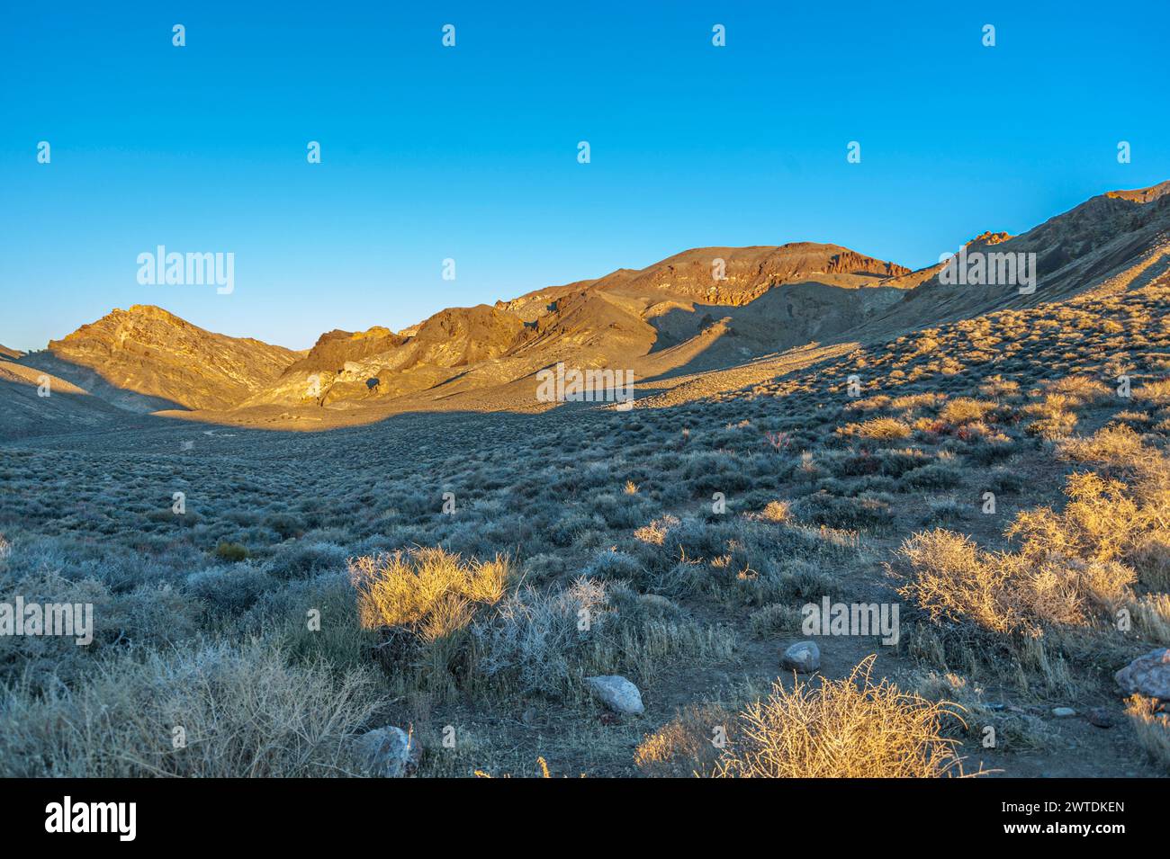 Nevada desert, USA Stock Photo