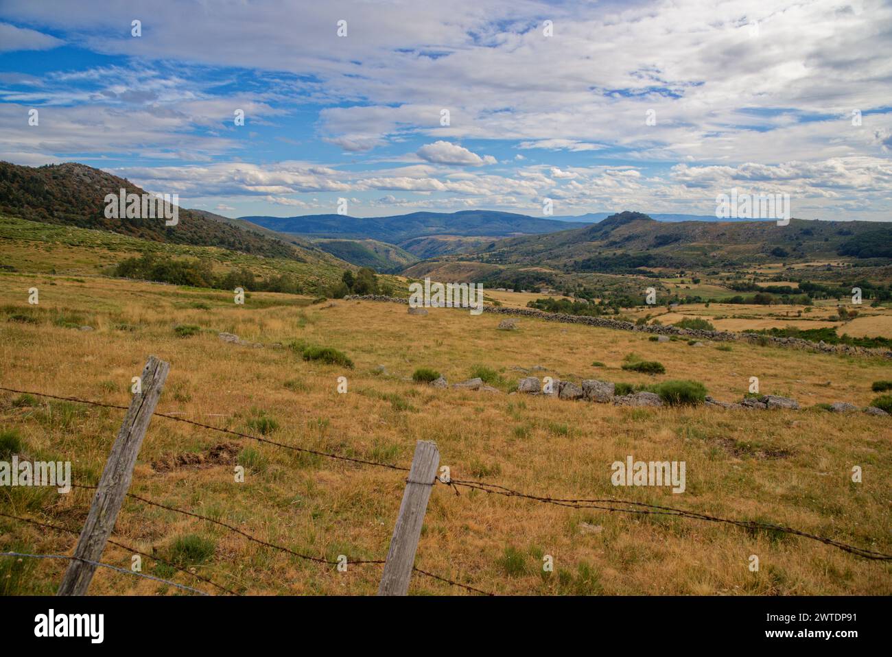 des champs des prés la nature en plein été en lozere près de saint frezal d'albuge, de Chasseradès, les monts de lozere Stock Photo