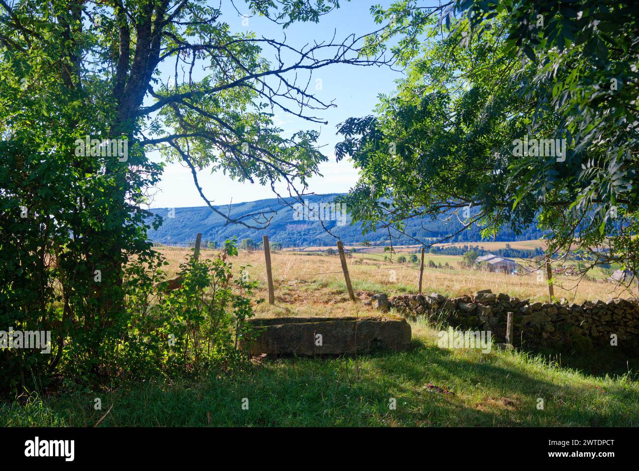 des champs des prés la nature en plein été en lozere près de saint frezal d'albuge, de Chasseradès, les monts de lozere Stock Photo