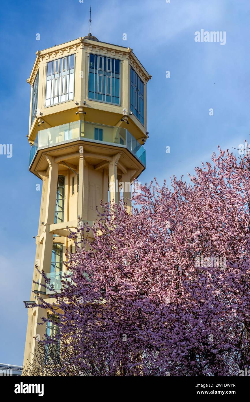Siofok water lookout tower with blooming tree in Hungary spring travel . Stock Photo