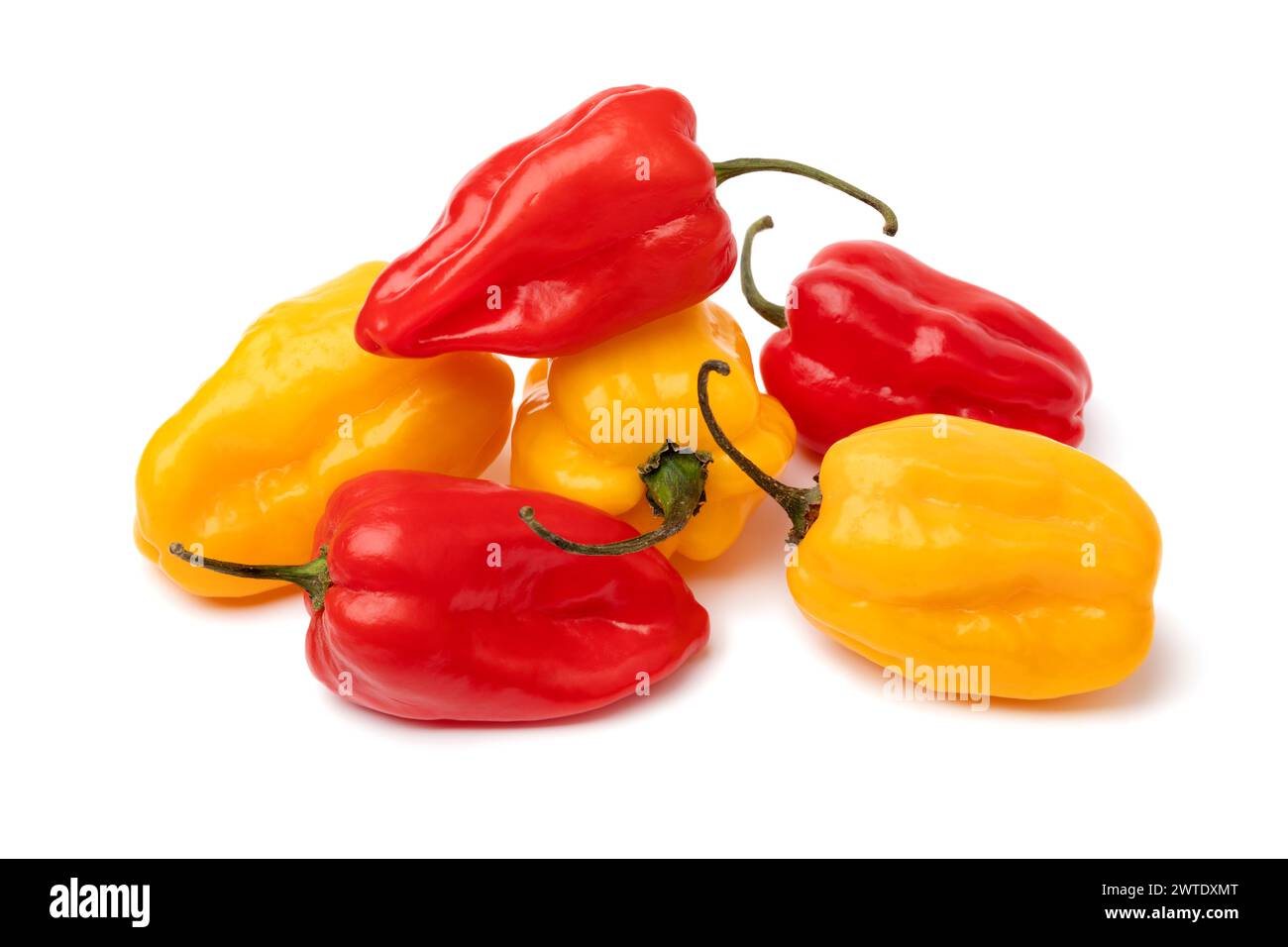 Aji umba hi-res stock photography and images - Alamy