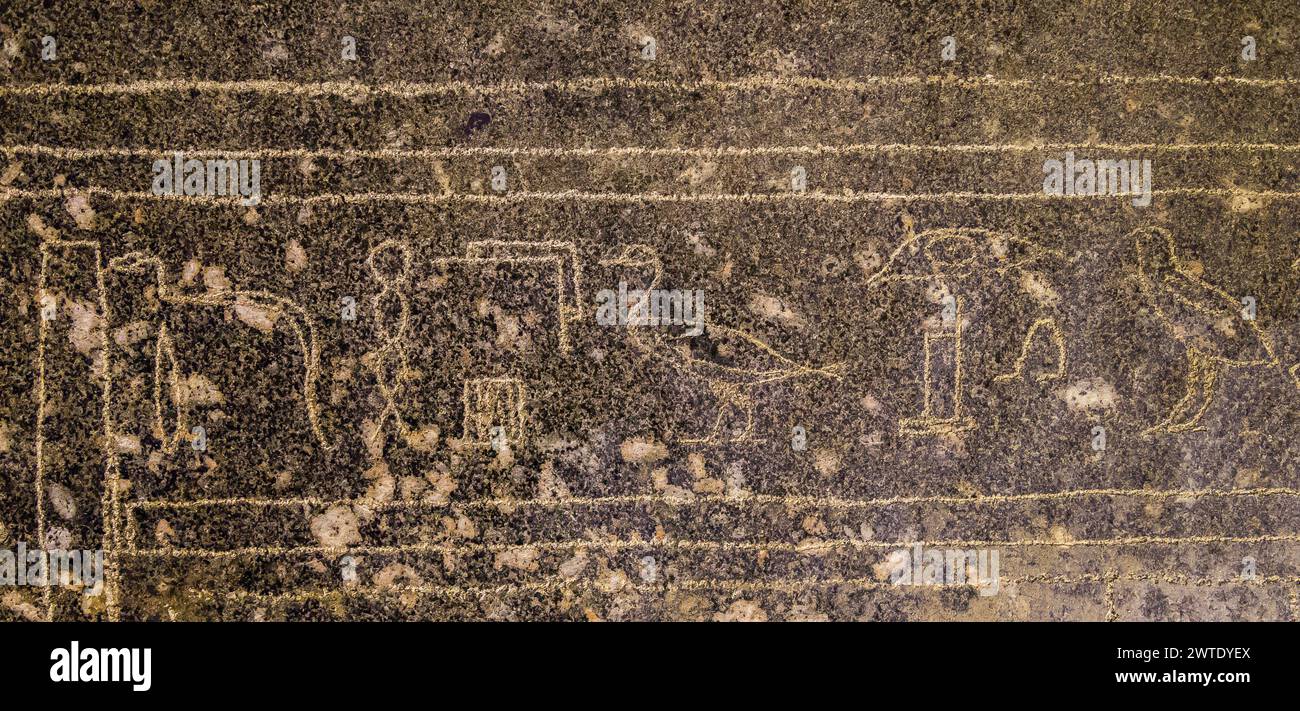 Egypt, Saqqara, Serapeum necropolis : A dedication text to an Apis bull. Stock Photo