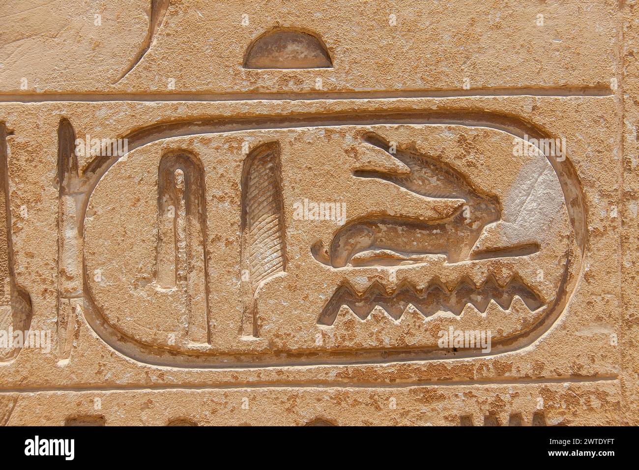 Egypt, Saqqara, near Unas causeway, ruins of the Khenu mastaba : Unas cartouche. Stock Photo