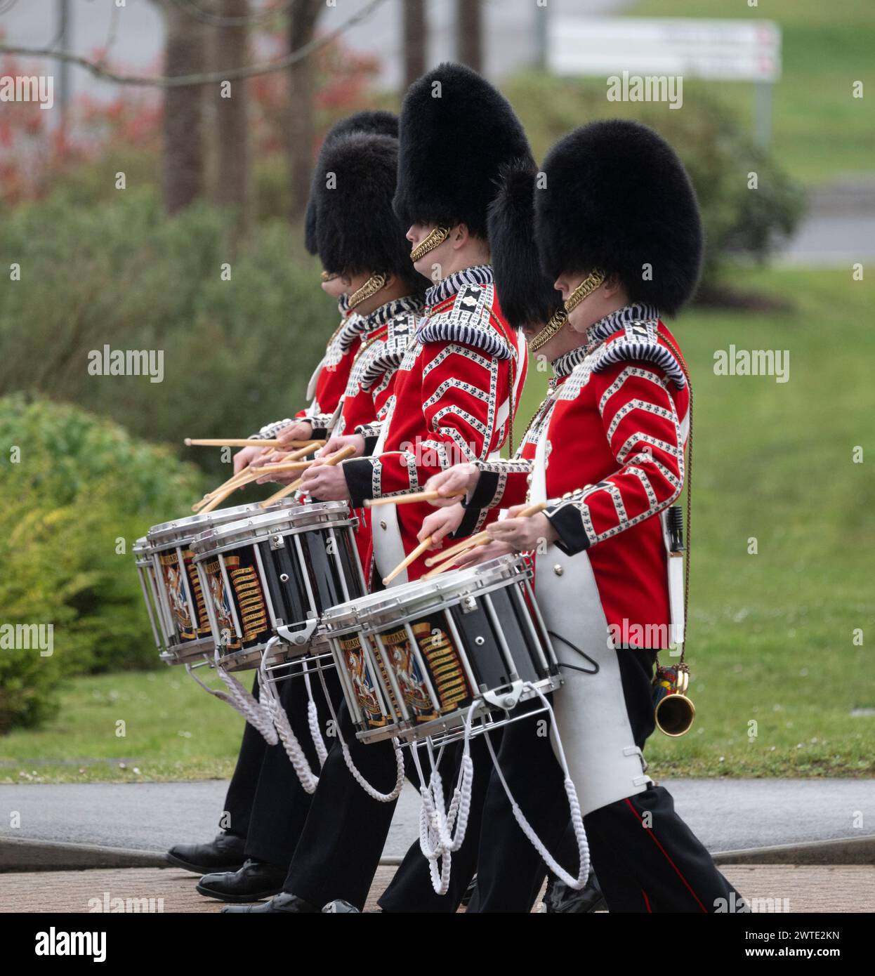 Mons Barracks, Aldershot, Hampshire, UK. 17th March 2024. The Irish Guards Regiment gather at a special St. Patrick's Day Parade and celebration in Aldershot. The parade is a high point of the year for this dual-role regiment. Lady Ghika, wife of the Regimental Lieutenant Colonel, Major General Sir Christopher Ghika, presents shamrock  to Officers, Seamus and Warrant Officers, who in turn issue it along the ranks. The parade concludes with a march-past where the Regimental Lieutenant Colonel, Major General Sir Christopher Ghika, takes the salute. Credit: Malcolm Park/Alamy Stock Photo