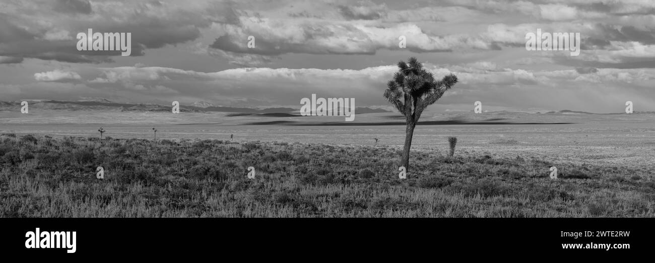 Serene plain Black and White Stock Photos Images Alamy