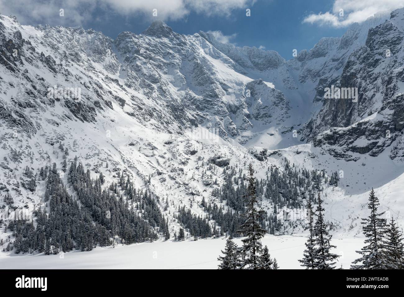 Polish Tatra mountains in winter with snowy trees and frozen High rocky ...