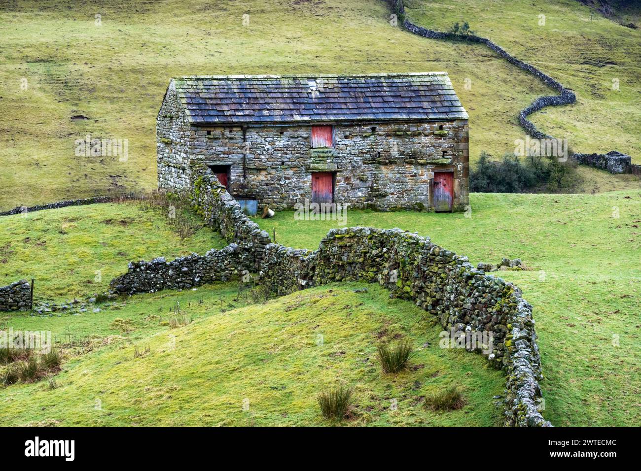 Stone barn and dry stone walls in Swaledale, Yorkshire Dales National Park.  The Coast to Coast long distance footpath passes through Swaledale. Stock Photo