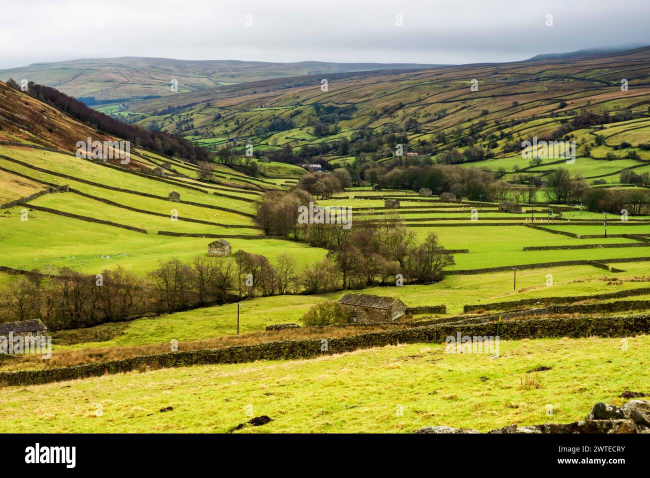 Swaledale, Yorkshire Dales National Park.  Iconic stone barns and dry stone walls of the narrow valley of the River Swale are popular with tourists. Stock Photo
