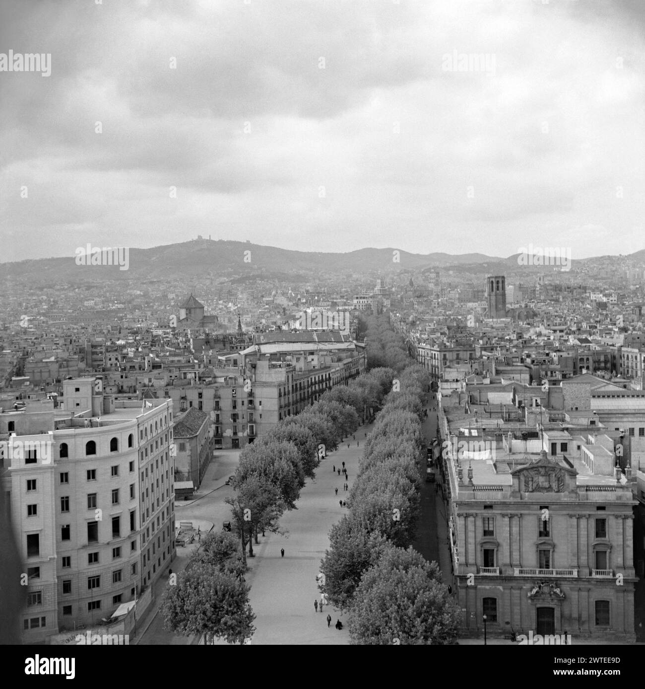 A view from the viewing gallery of Mirador de Colom, Port Vell, Barcelona, Spain in 1955. Looking northwards up Las Ramblas (La Rambla) boulevard, its impressive tree cover is the main feature. The Mirador de Colom, also known as the Columbus Monument, was built in 1888 on the occasion of the Universal Exhibition as a tribute to Christopher Columbus, who chose to disembark in the port of Barcelona on his return from America – a vintage 1950s photograph. Stock Photo