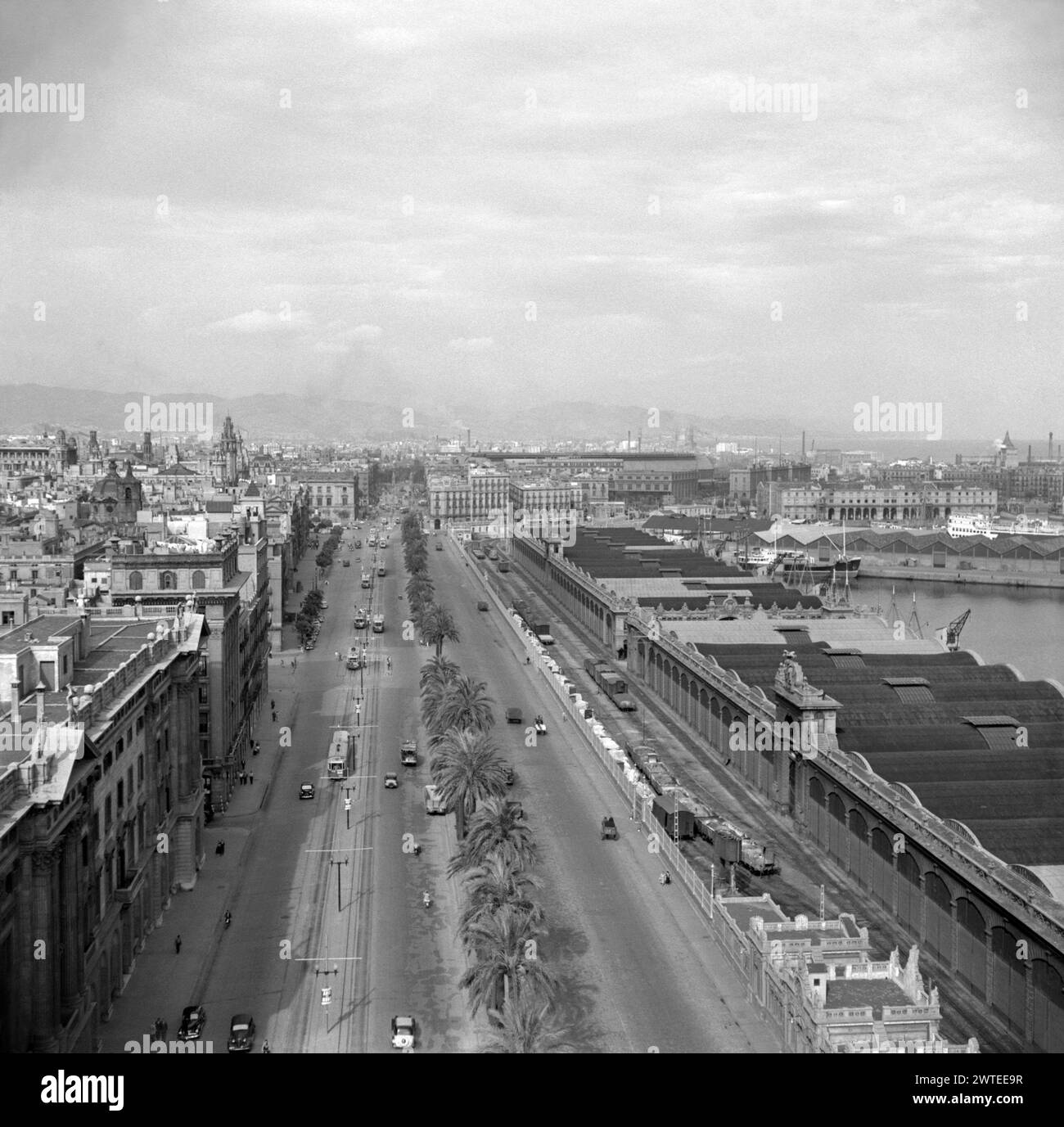 A view from the viewing gallery of Mirador de Colom, Port Vell, Barcelona, Spain in 1955. Looking eastwards along Passeig [Pg] de Colom. The street is a palm-tree-lined boulevard that runs along the waterfront, separating Old Barcelona (Cuitat Vella, left) from the Waterfront District (Port Vell, Barceloneta, right). The warehouses (right) have been demolished, replaced by an open pedestrianised area next to the harbour – a vintage 1950s photograph. Stock Photo