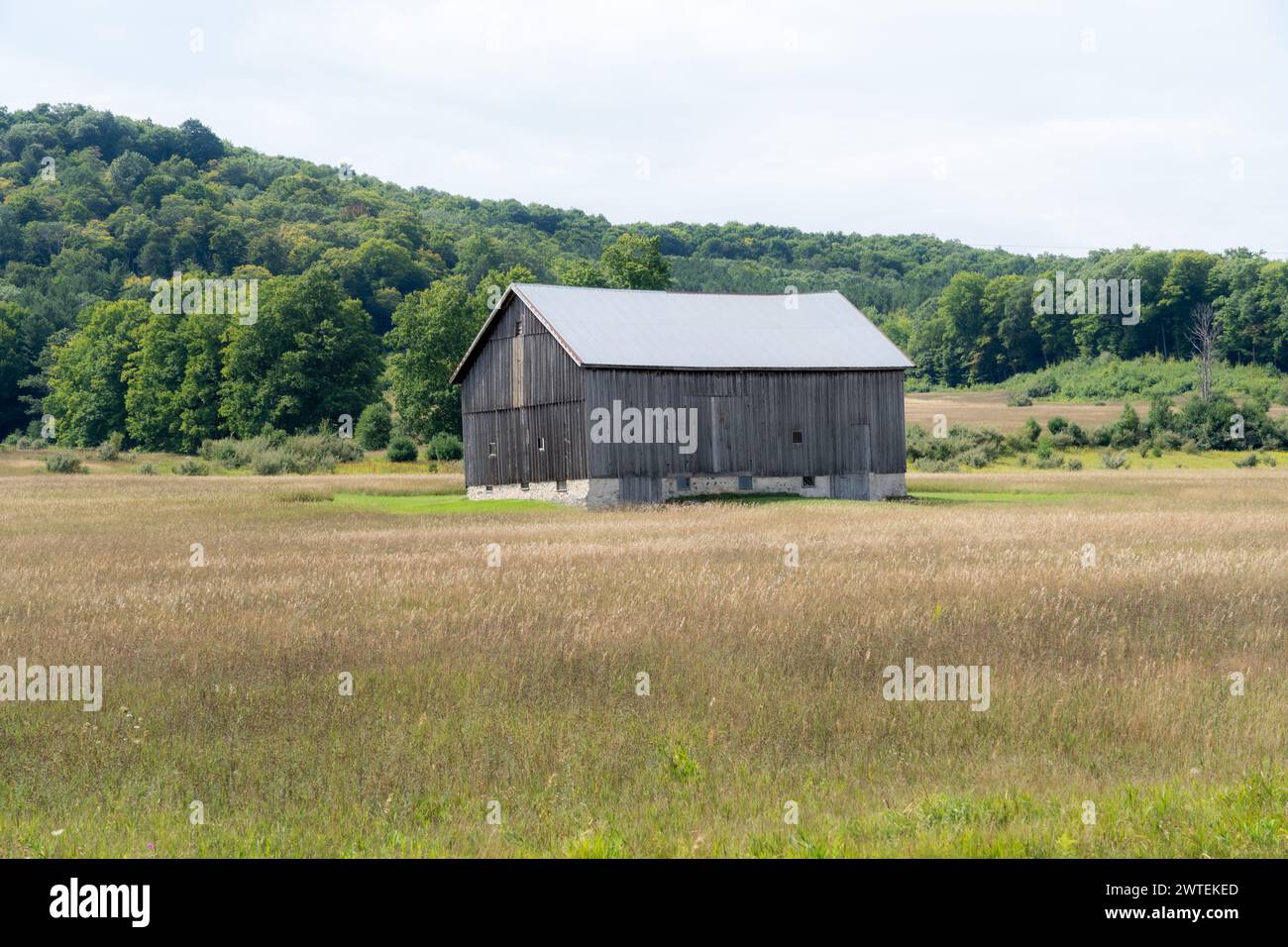 Abandoned barn in rural hi-res stock photography and images - Alamy