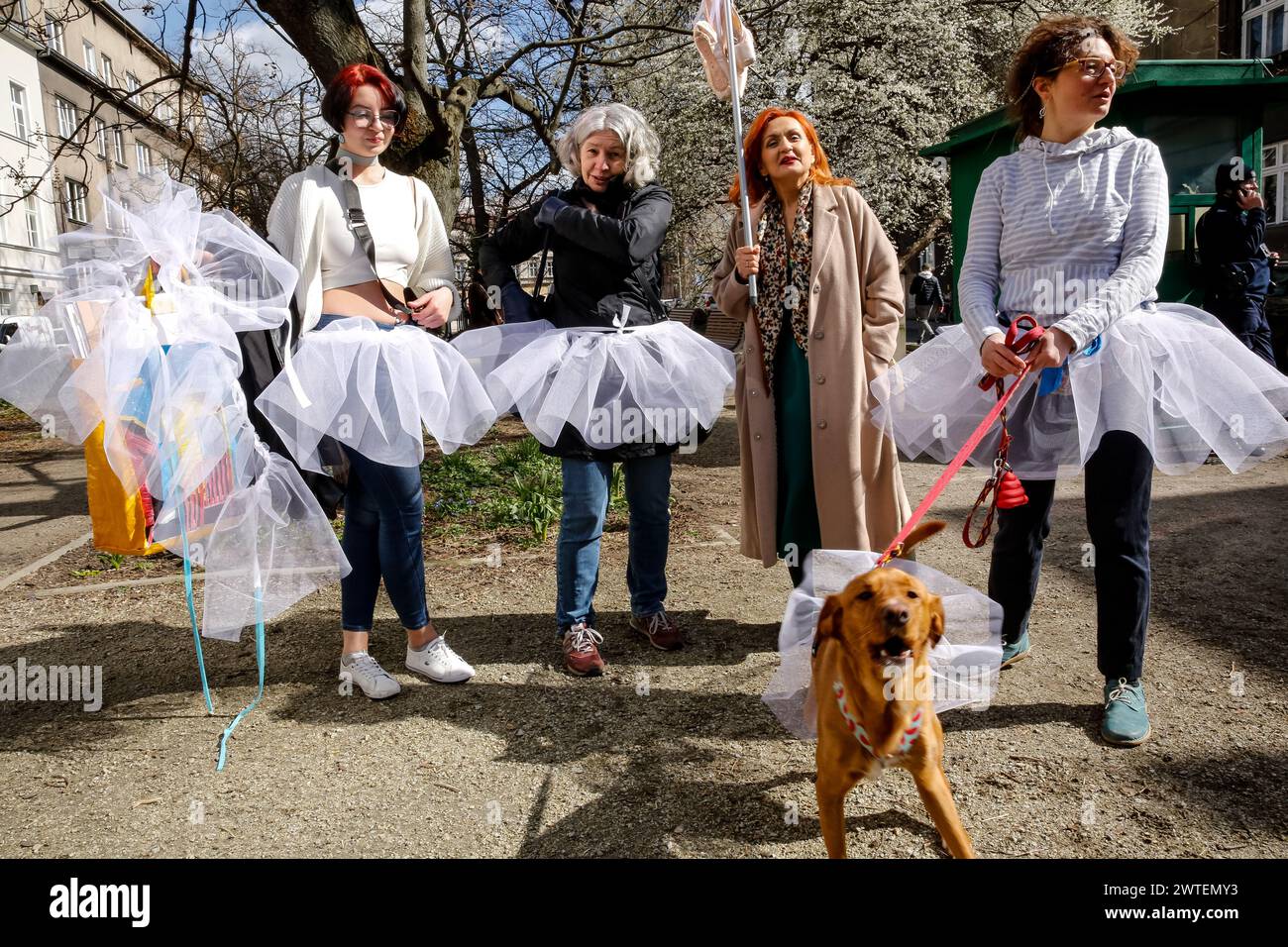 A group of protesters in ballerina white skirts, to symbolize purity and confinement protest in front of the Russian Consulate in Krakow during the third day of Russian Presidential Elections, Russian opposition leader, who recently died in jail, Alexei Navalny, and then his wife Julia Navalna, called opposition to come to the voting polls on the March 17 at noon, to show Russian President, Vladimir Putin the number of people opposing his reign. It is illegal and dangerous to protest against the government in Russia, that is why Julia Navalna suggested the idea of gathering at voting polls at Stock Photo