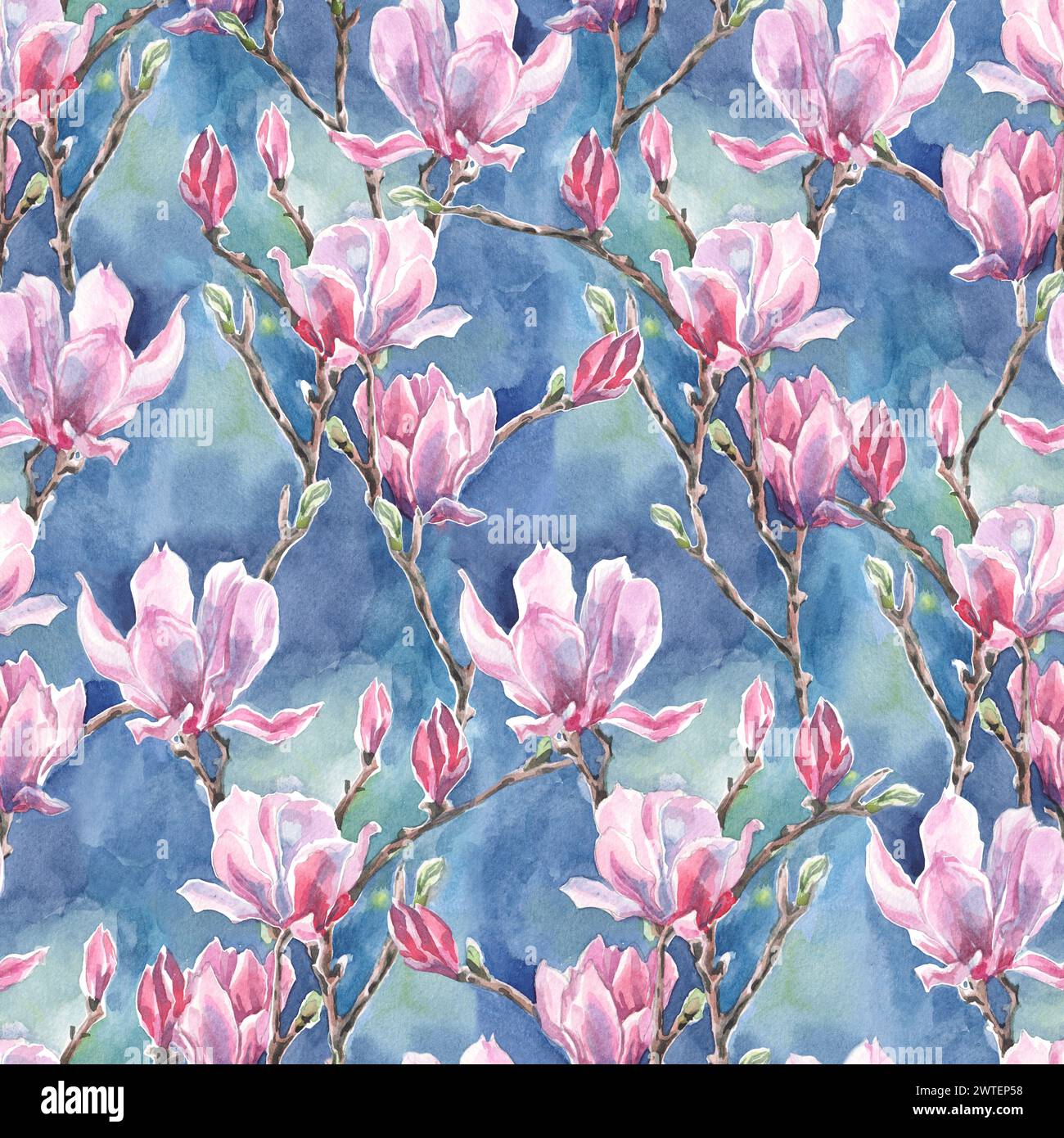 Magnolia tree branches illustration hi-res stock photography and images ...