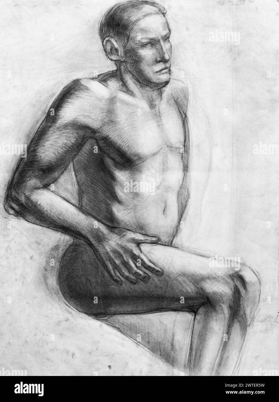educational portrait of seated nude model drawn by hand with graphite pencil on white paper Stock Photo