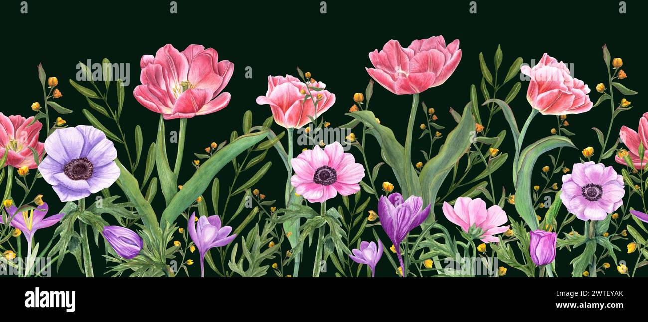 Seamless border with spring flowers and plants. Pink double tulips, multicolored anemones, crocuses and wild yellow flowers. Stock Photo