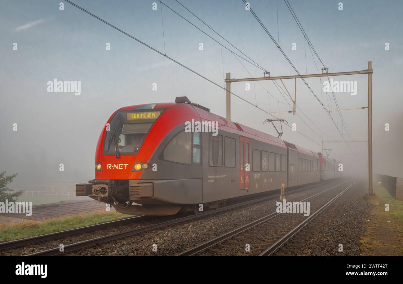 Passenger trains in morning misty railway stop in Dordrecht