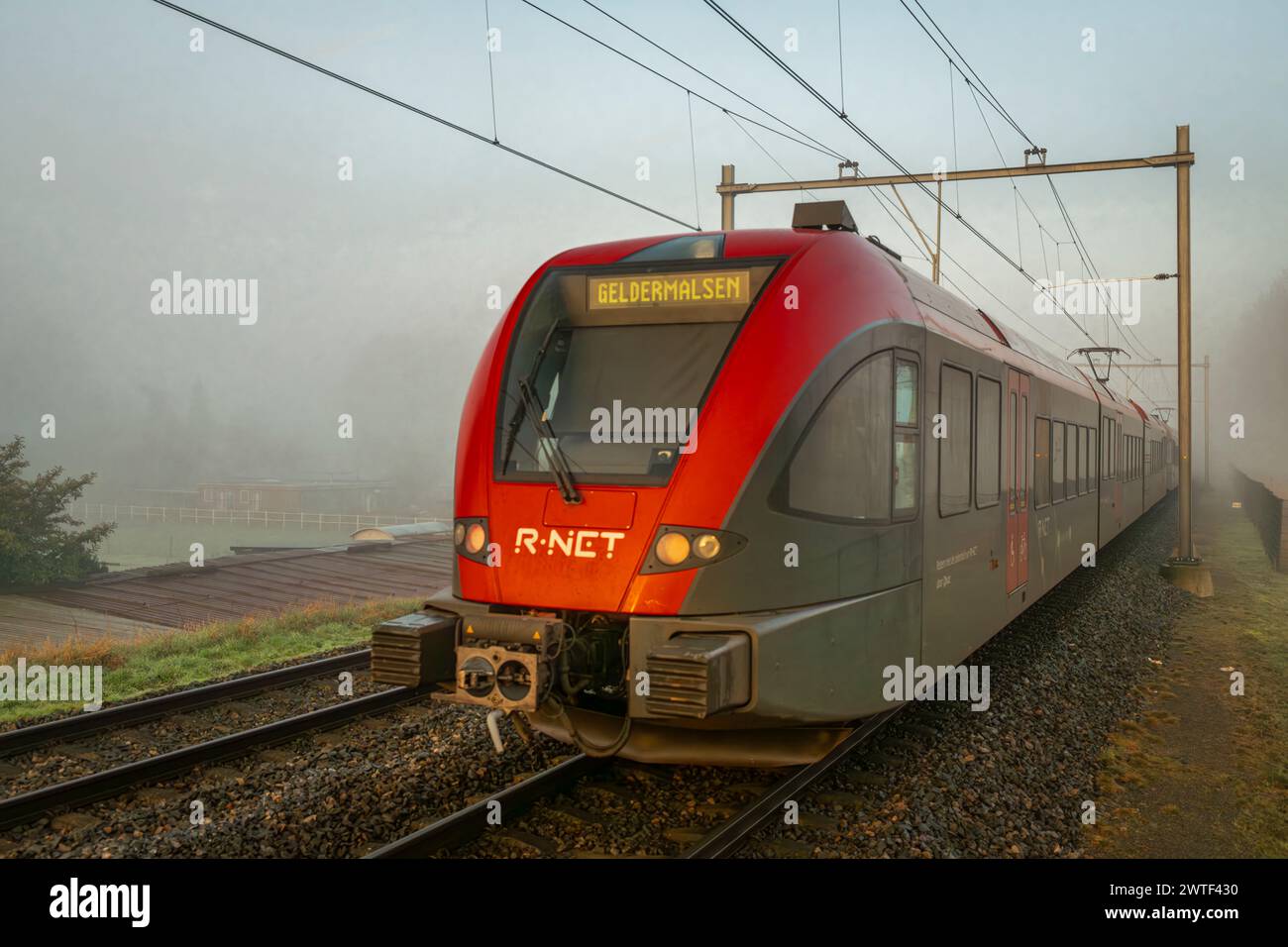 Passenger trains in morning misty railway stop in Dordrecht