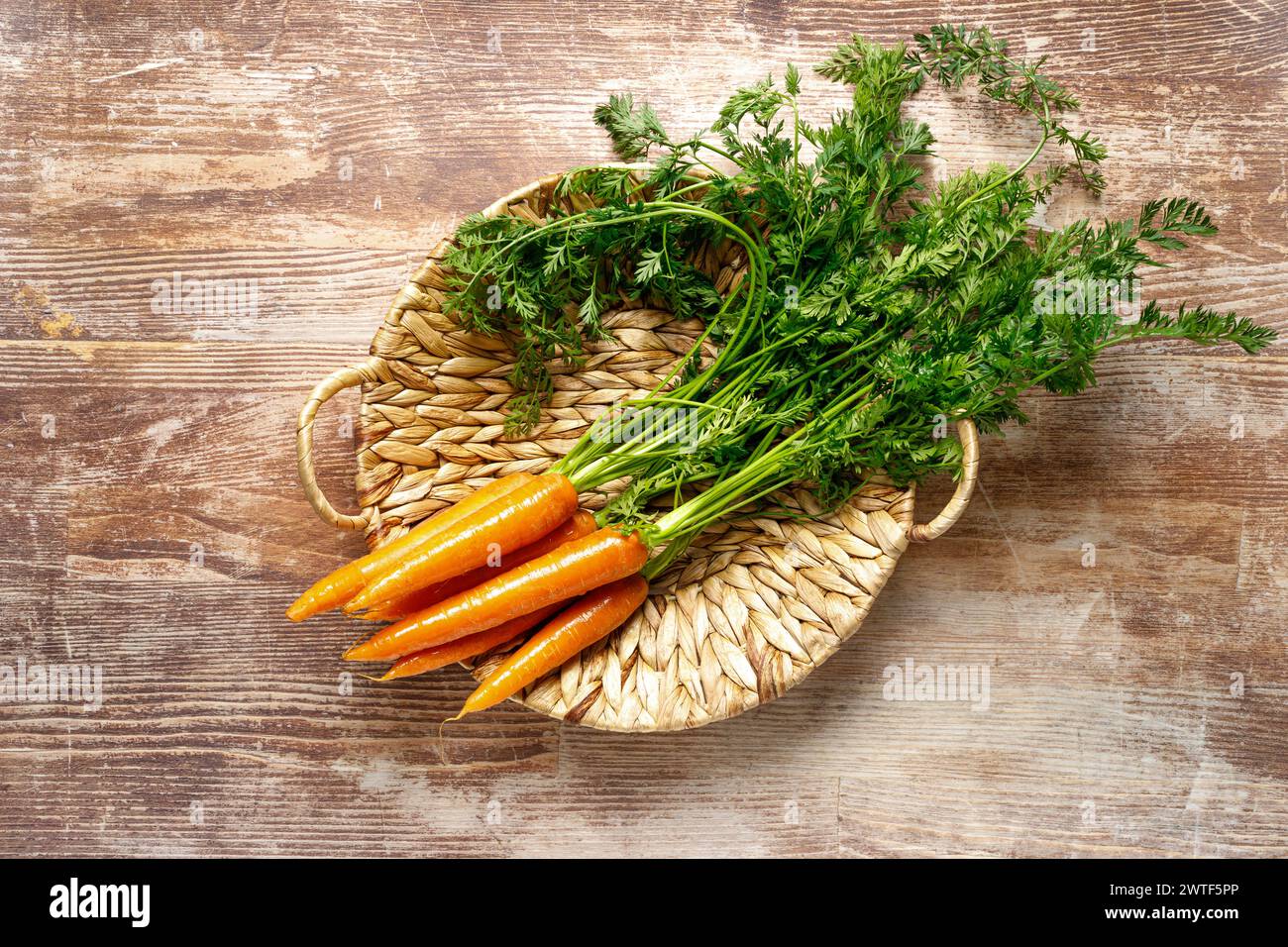 Fresh organic farmer carrots bunch with green tops in a basket on wooden rustic kitchen table, top down view Stock Photo