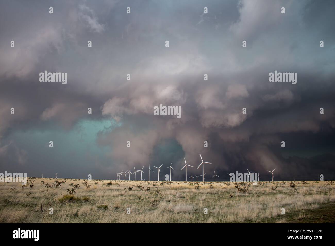 A wall cloud lowers almost to the ground, wind turbines spin, and the sky turns an eerie green as a massive supercell storm approaches. Stock Photo