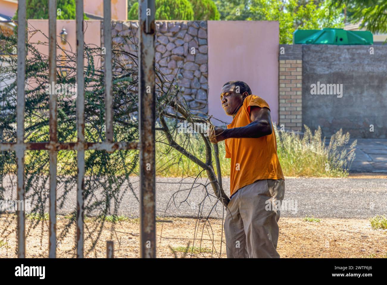 young african worker, clearing branches in the garden and taking them out the gate Stock Photo