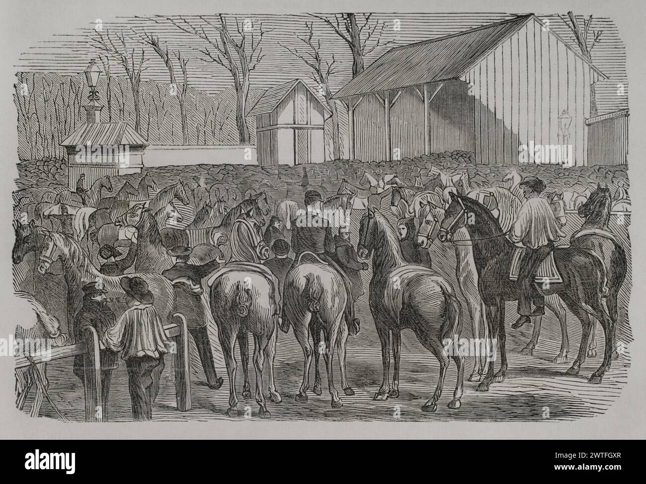 Franco-Prussian War (1870-1871). Siege of Paris (19 September 1870 to 28 January 1871). Horse market during the siege of the city by the Prussians. Engraving. 'Historia de la Guerra de Francia y Prusia' (History of the War between France and Prussia). Volume II. Published in Barcelona, 1871. Stock Photo