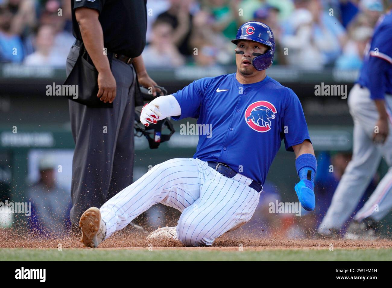 Chicago Cubs' Seiya Suzuki, of Japan, scores a run against the Texas
