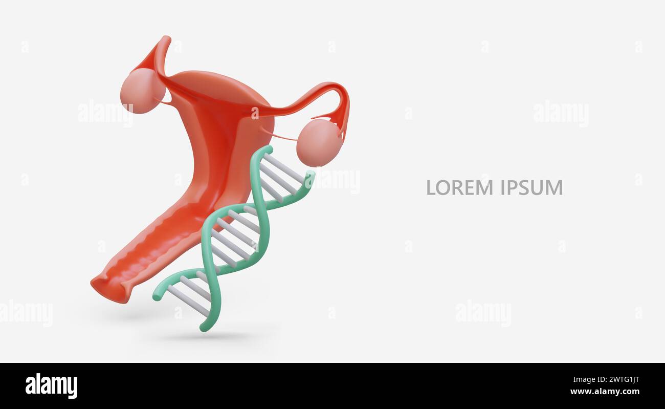 3D female internal organs, DNA spiral. Analyzes. Bacterial DNA