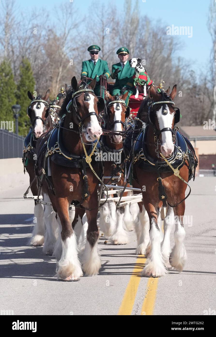 26th annual ancient order of hibernians saint patricks day parade