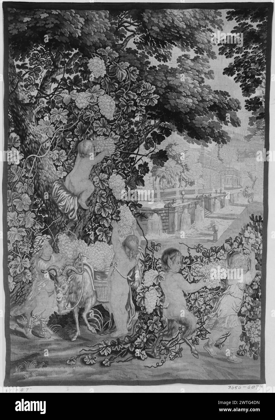 Children playing in vintage scene. unknown c. 1690 Tapestry Dimensions: H 8'7' x W 6'1' Tapestry Materials/Techniques: unknown Culture: Flemish Weaving Center: unknown Ownership History: French & Co. purchased from Bacri frères 4/10/1918; sold to S. J. Bloomingdale, Esq. 1/10/1919. In garden park, children pick grapes & load them into baskets on goat; path leads to château in L distance Borders missing. French & Co. stock sheet in archive, 6874 Related Works: Compositionally similar tapestry (same cartoon, R part of composition, reversed): GCPA 0241503 Stock Photo