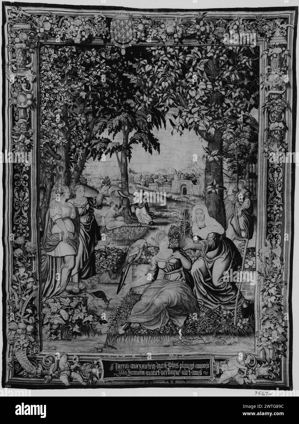 Vertumnus, in guise of old woman, tells Pomona story of Iphis. unknown c. 1535-1550 Tapestry Dimensions: H 11'6' x W 15'4' Tapestry Materials/Techniques: unknown Culture: Flemish Weaving Center: Brussels Ownership History: Sold at Hôtel Drouot (Paris), 4/7/1877, lot 34 (Duc de Berwick et d'Albe sale). Baron D'Erlanger coll. William Randolph Hearst coll., as of 1941. French & Co. Inscriptions: City mark on lower guard, left Inscriptions: Latin inscription in lower border not legible in photograph Related Works: Panels in set: GCPA 0236979-0236982, 0238276; compositionally similar tapestries (si Stock Photo