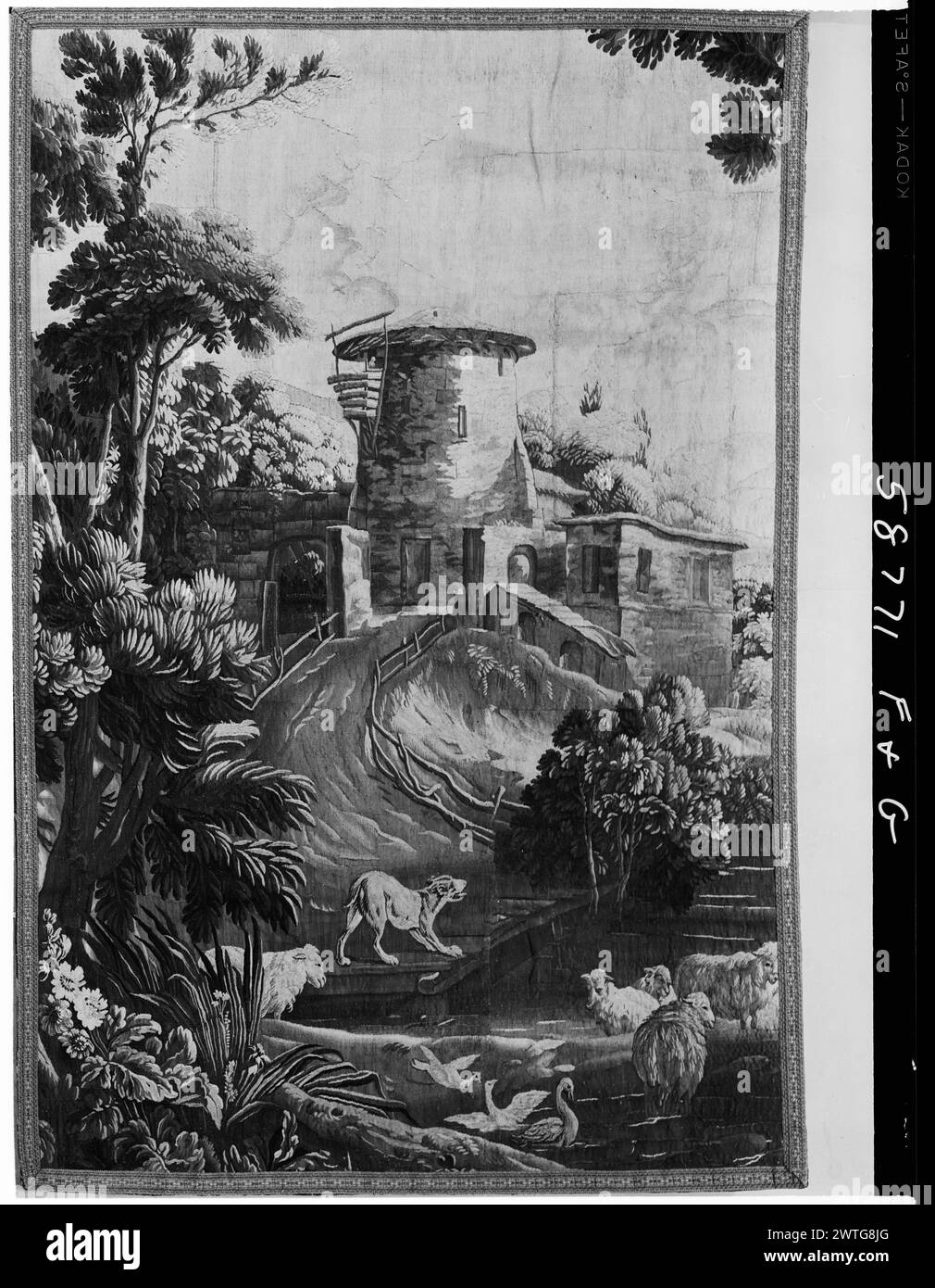 Ruth the sheep Black and White Stock Photos & Images - Alamy