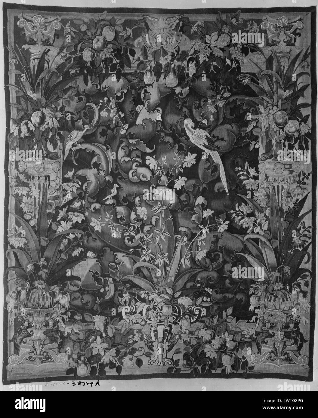 Large-leaf proscenium-verdure with parrot. unknown c. 1550-1600 Tapestry Dimensions: H 10' x W 8'3' Tapestry Materials/Techniques: unknown Culture: Flemish Weaving Center: unknown Ownership History: French & Co. purchased from Sumner Healy, invoiced 3/22/1932; sold to Rhode Island School of Design 5/24/1945. Proscenium incorporated into border; greenery composed of wispy flowering plants amidst scrolling acanthus-like leaves inhabited by large parrot & other birds (BRD) foliate impinging on central field; (L & R BRD) columns ornamented by foliage, fruit & flowers; (UPR BRD) central mask flanke Stock Photo