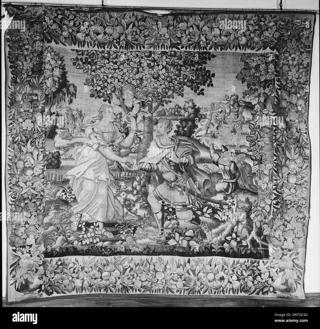 Venus (Aphrodite) presents Hippomenes with golden apples. unknown c. 1540 Tapestry Dimensions: H 11'8' x W 12'6' Tapestry Materials/Techniques: unknown Culture: Flemish Weaving Center: unknown Ownership History: French & Co. In landscape, Venus presents Hippomenes with golden apples as received from fruit-picking Cupid in tree above (center foreground); male suitor losing race against Atalanta & being punished (R background) (BRD) garlands of flowers, foliage & oversize fruit springing from vessels on plinths in lower corners Border not original to this tapestry. French & Co. stock sheet missi Stock Photo