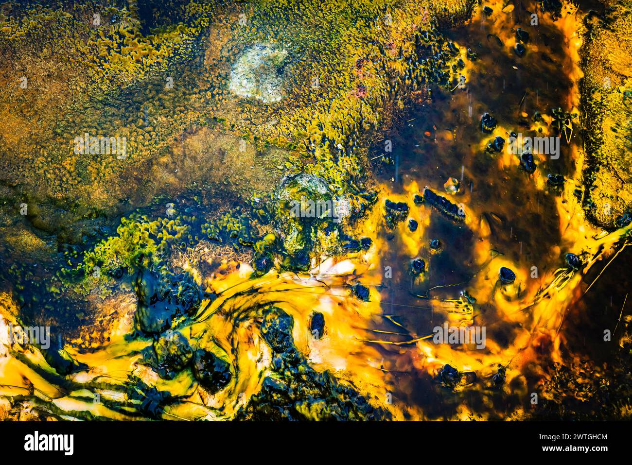 BISCUIT GEYSER BASIN UPPER GEYSER BASIN YELLOWSTONE NATIONAL PARK WYOMING USA Stock Photo