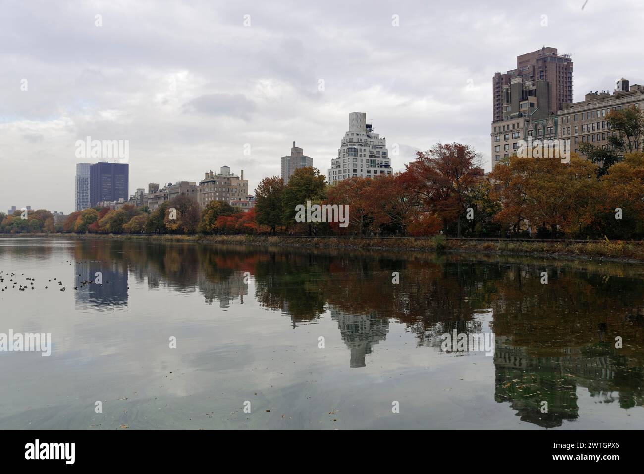 Central Park, An urban park on a cloudy autumn day by the water, Manhattan, New York City, New York, USA, North America Stock Photo