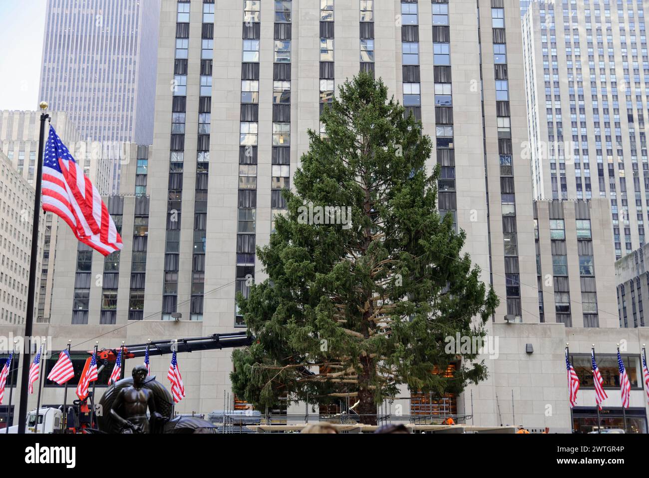 Rockfeller Centre, installation of a large Christmas tree in front of a municipal building with US flag, Manhattan, New York City, New York, USA Stock Photo