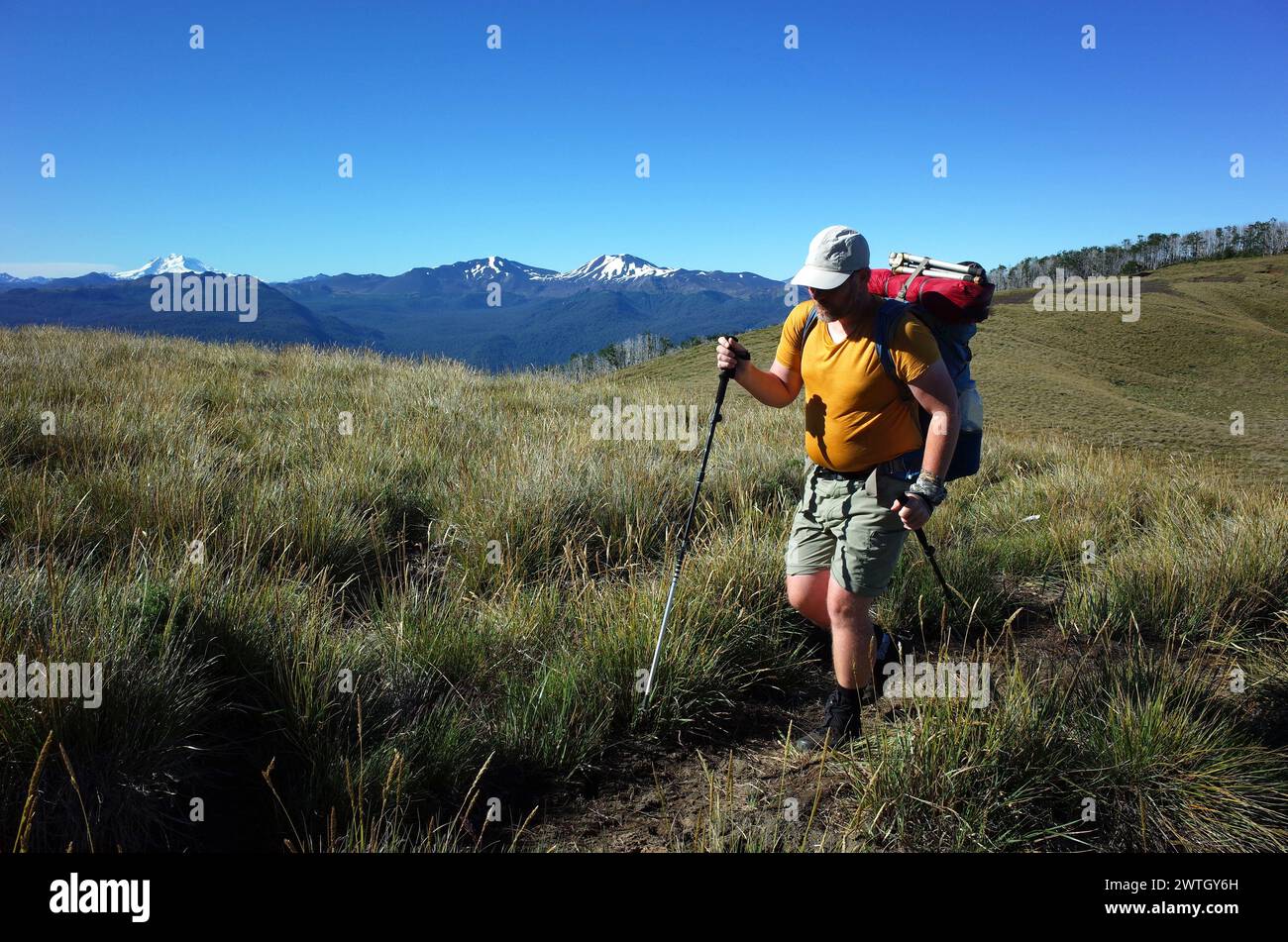 Man with backpack solo hiking on grassy highland mountain landscape in Puyehue National Park, Los Lagos Region, Chile. Volcan Tronador on horizon left Stock Photo