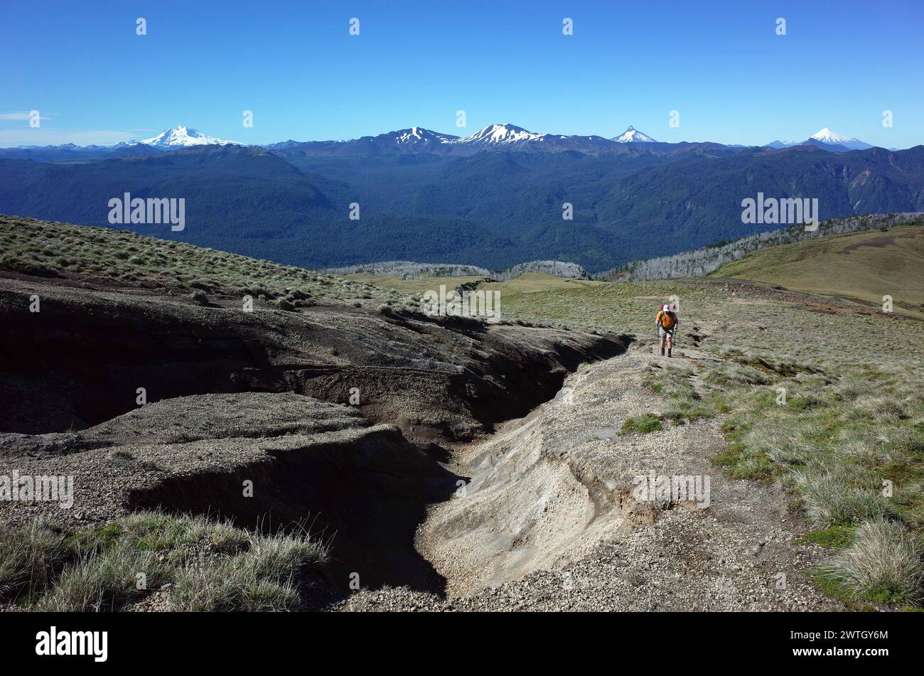 Hiking in Patagonia, Man solo walking up mountainside of volcano Puyehue in Puyehue National Park, Los Lagos Region, Chile. Volcanoes Tronador, Antill Stock Photo
