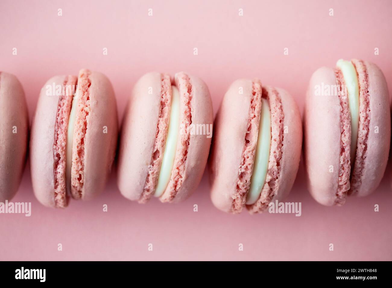 Soft pink macarons perfectly lined up on a matching background Stock Photo