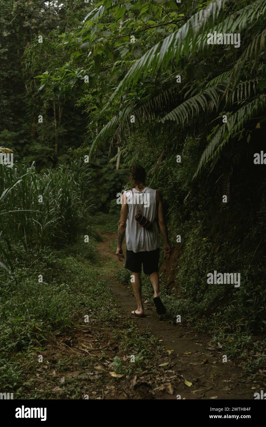 A man walks through the jungle, Bali. Stock Photo
