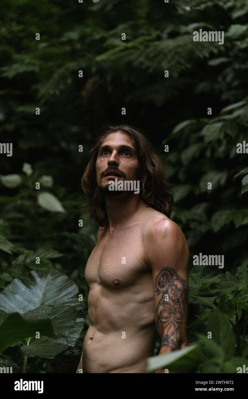 Dark brown hair brown eyes man hi-res stock photography and images - Alamy