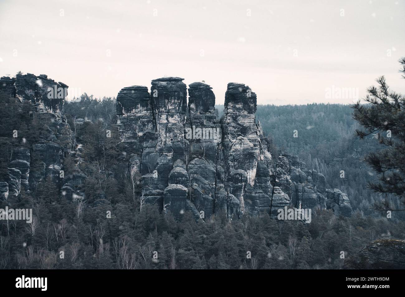 Germany Rocks Rugged rocks at Basteibridge during snowfall. Wide view over trees and ...