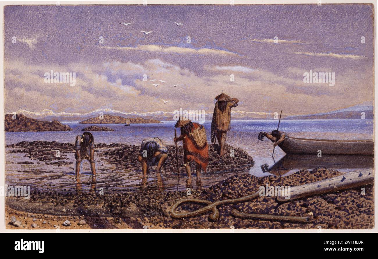 Watercolour - Aboriginal people gathering shellfish. William Hind (1833 ...