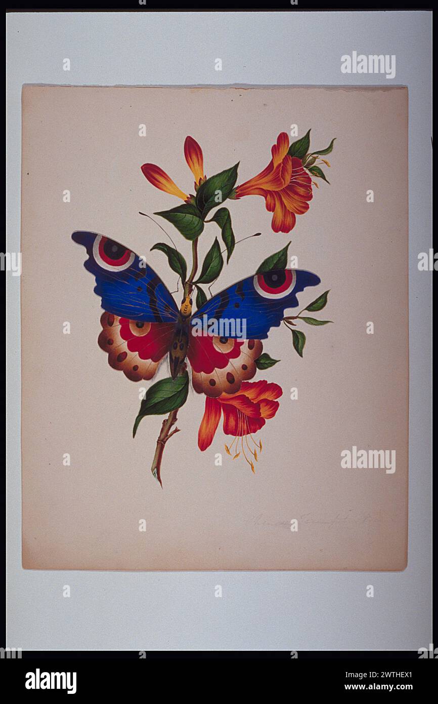 Watercolour appreciation hi-res stock photography and images - Alamy