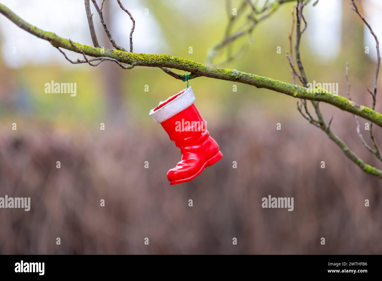 Ein Stiefel hängt einem Zweig zu Weihachten Stock Photo