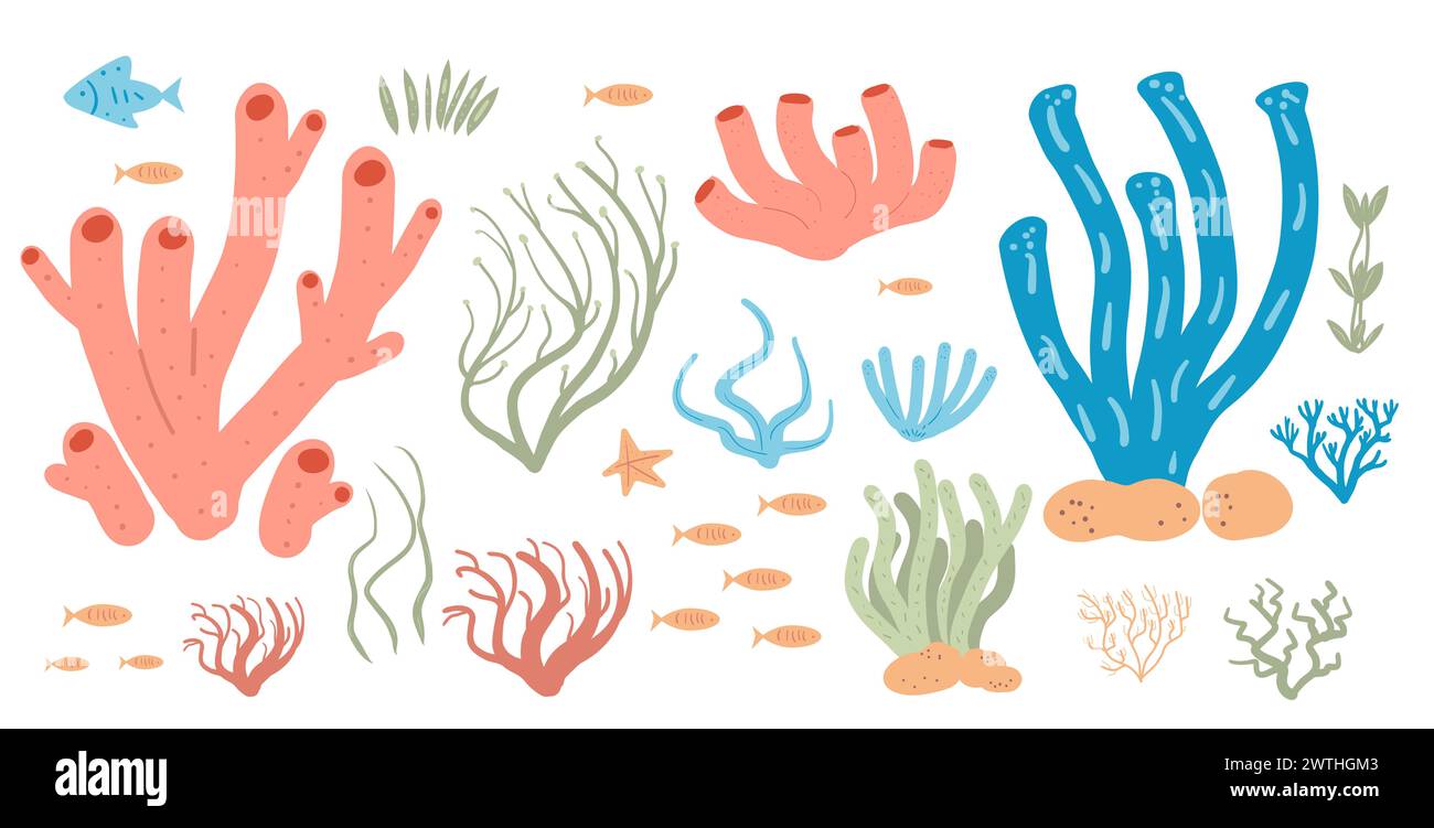Coral reef set isolated on white background. Sea underwater elements ...