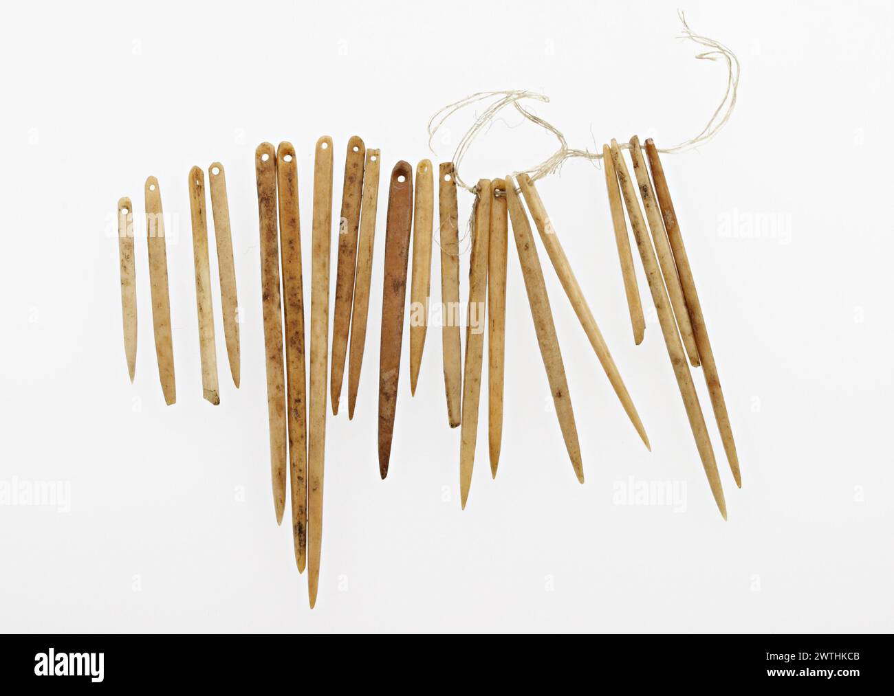 Leatherworking needle Stock Photo Alamy