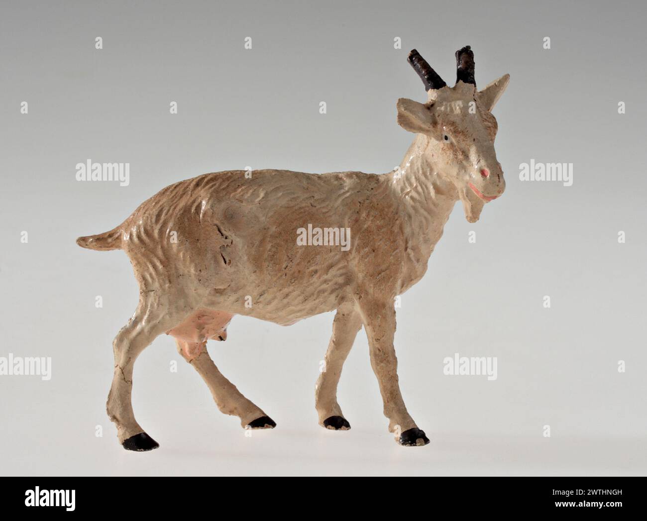 Coloration animal hi-res stock photography and images - Alamy