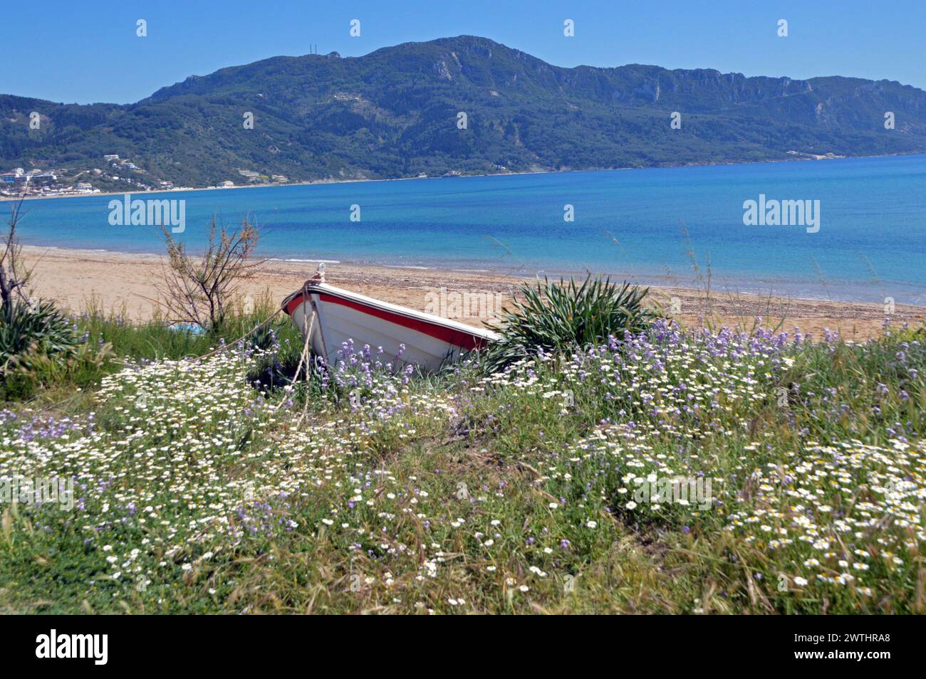 Greece, Island of Corfu, Agios Georgios: the beach of Agios Georgios, over 1000 metres long, with a beached boat in the foreground and flowers of Thre Stock Photo