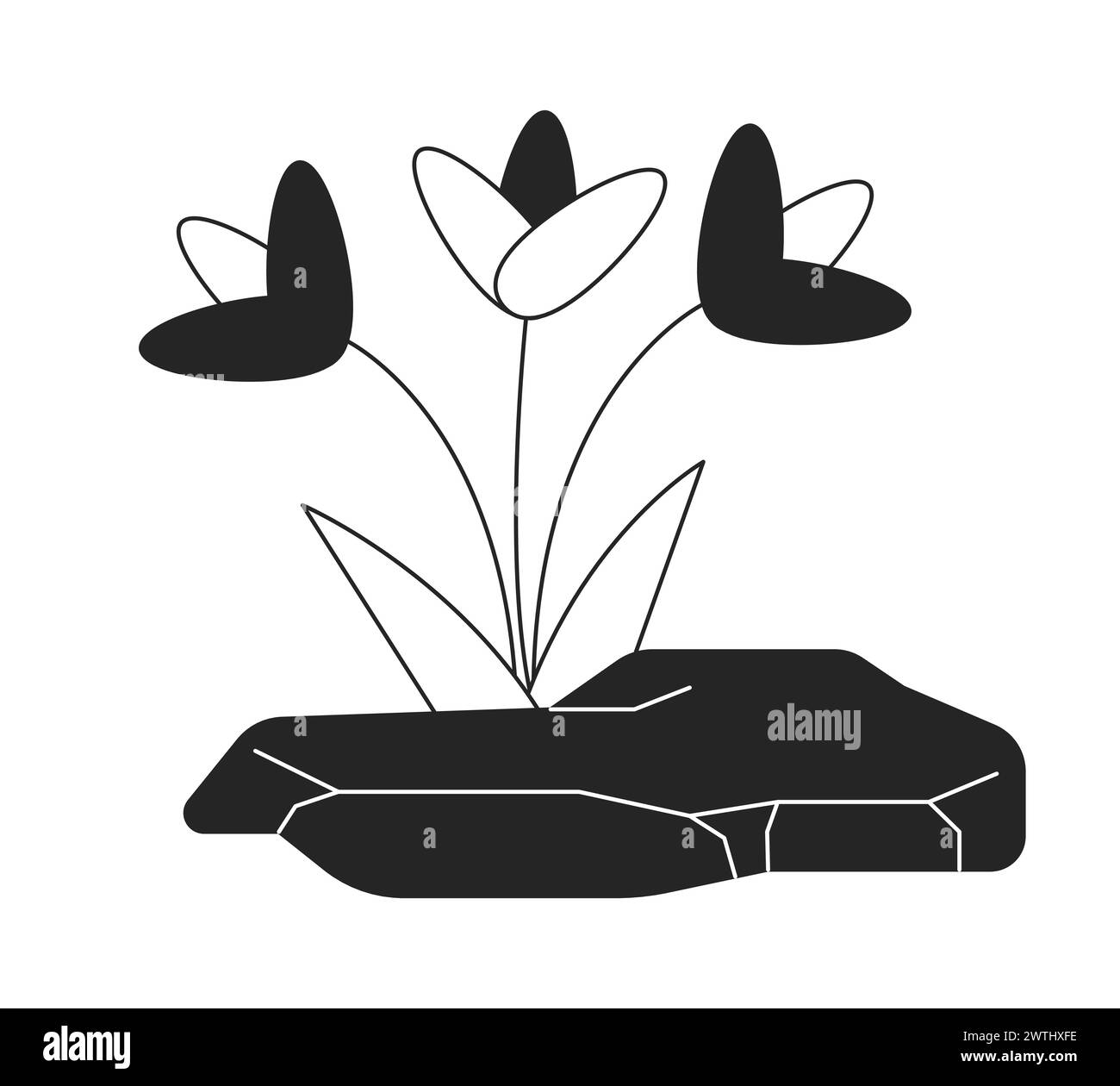 Flowers growing out rock black and white 2D line cartoon object Stock